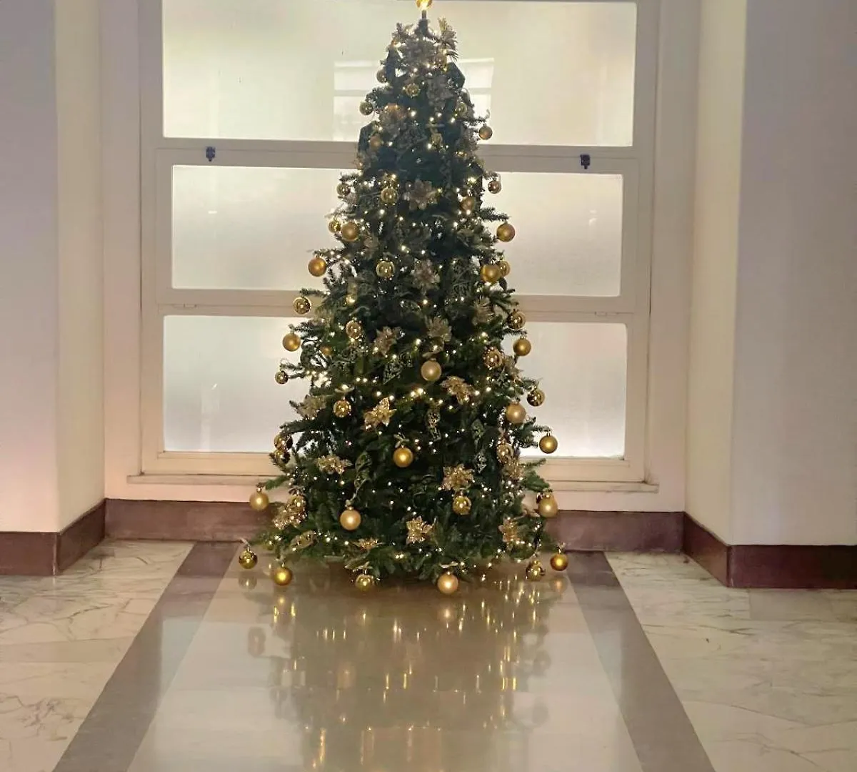 Guest house Immenso Amore Prestige House Rome Italy